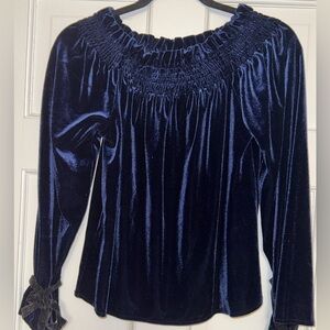 Sapphire blue crushed velvet top